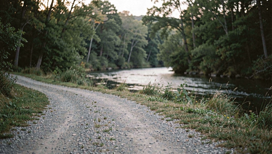 A quiet gravel access road leading toward a wooded river bend at low light, prepared for the fly fishing gear field note