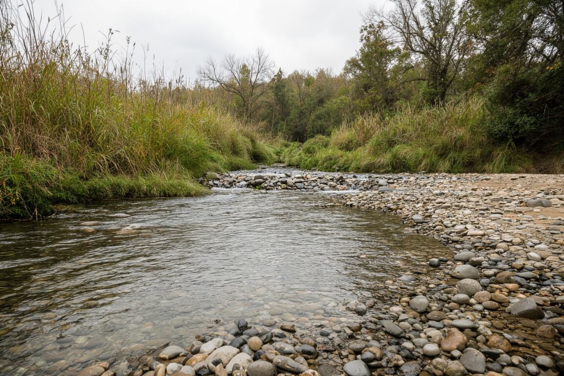 A clear river seam curling around dark stones beneath a soft morning sky, prepared for the river conservation field note